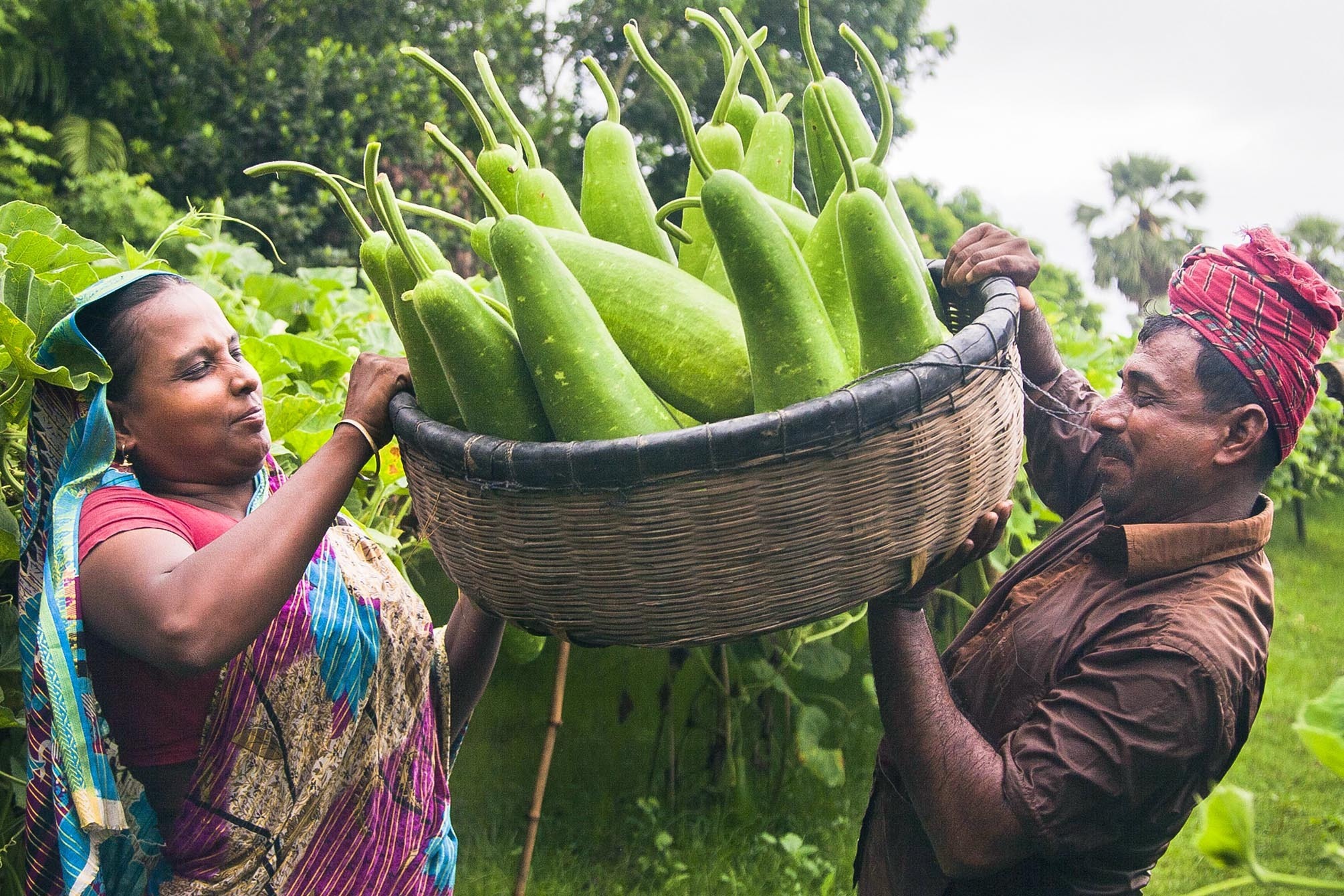 Giving Ban Basket Landing