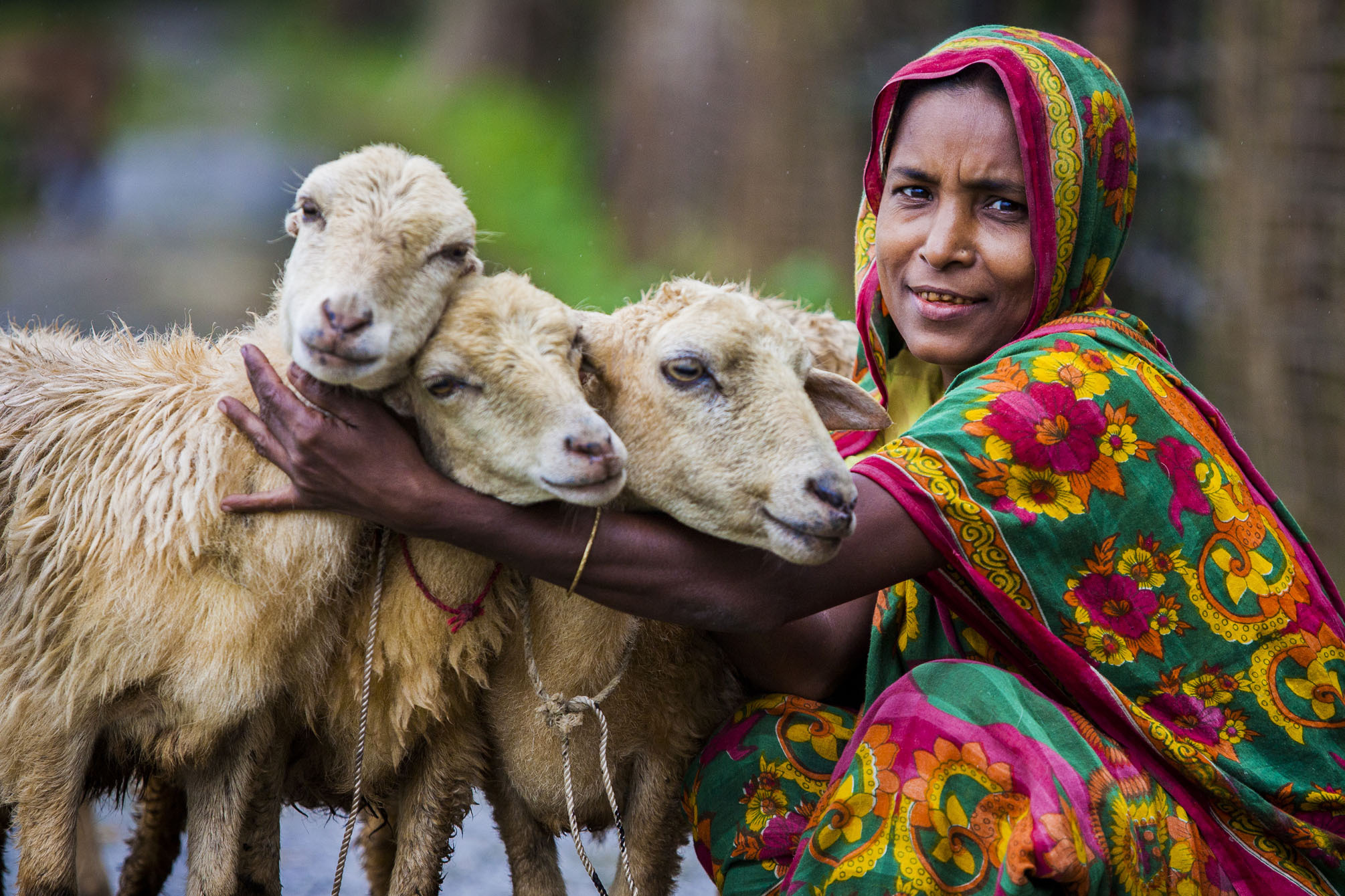 Giving Ban Goats Landing