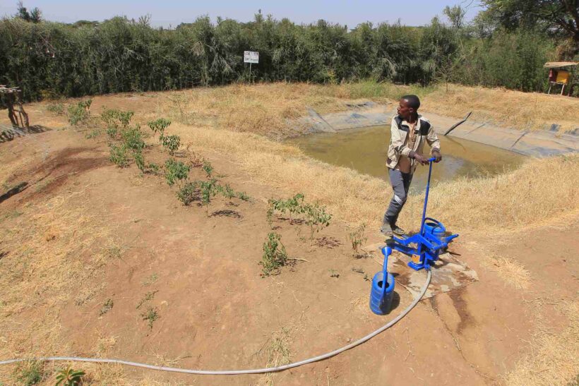 iDE Pc ETH Lemecha Bobe Callout 3X2