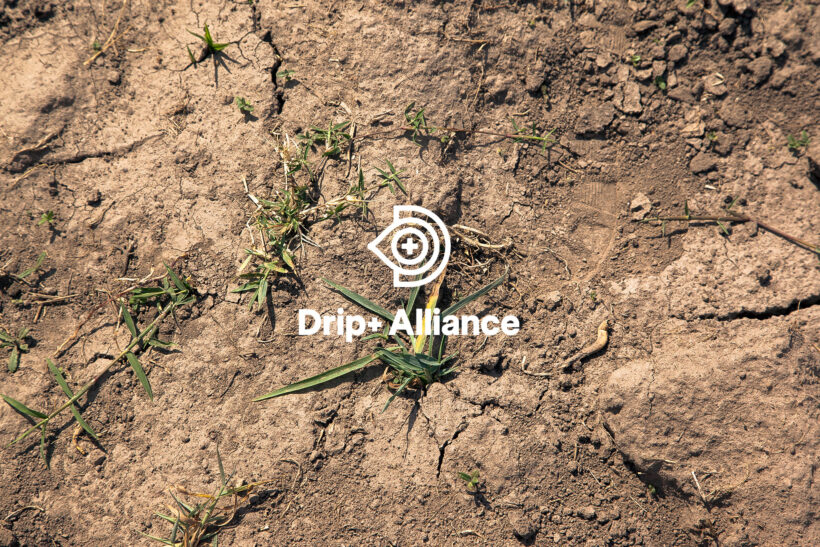 iDE PC Drip Plus 3x2